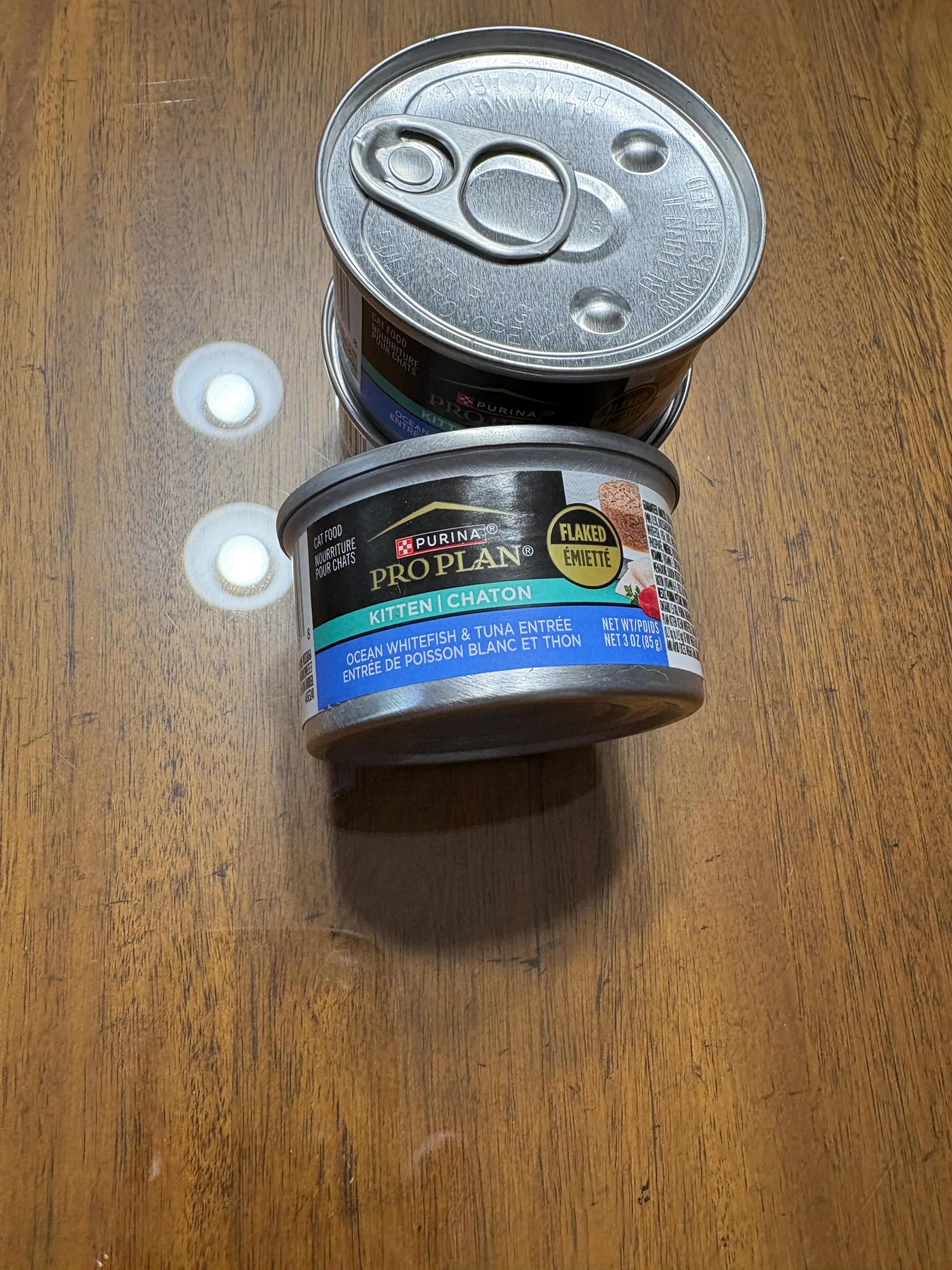 Cat food we feed our Maine Coons