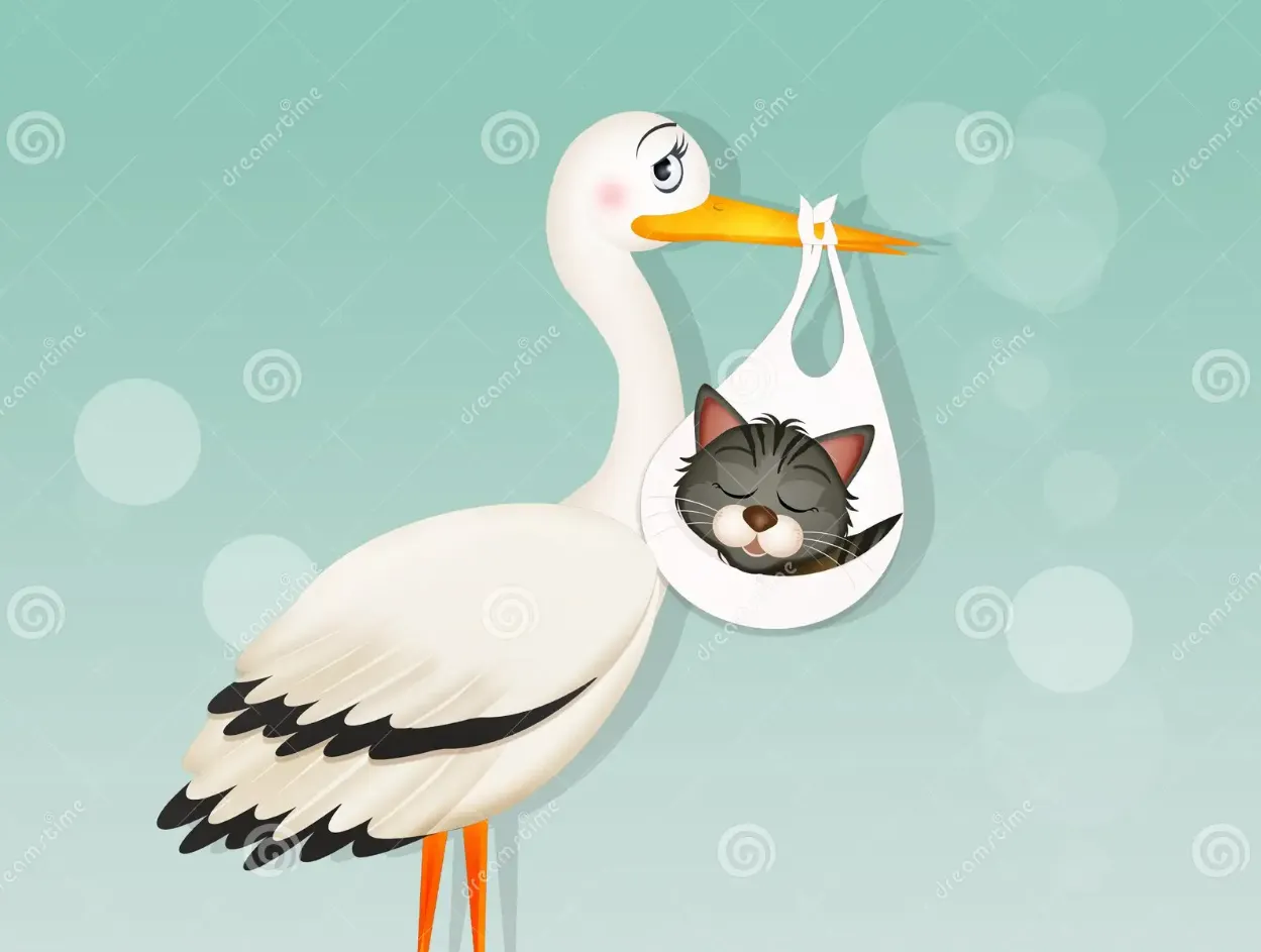 Stork delivering kittens